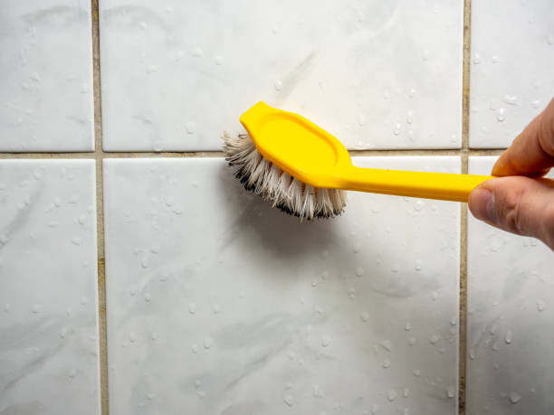 Home Mold Removal in Ceresco, NE