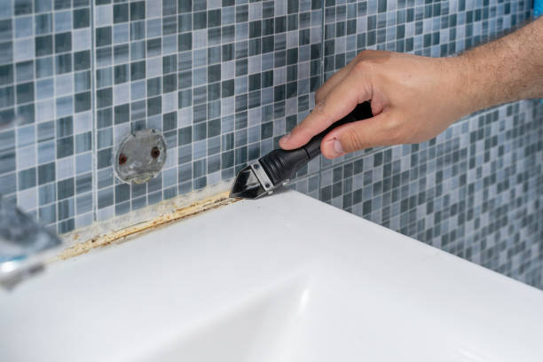 Mold Removal and Inspection in Ceresco, NE